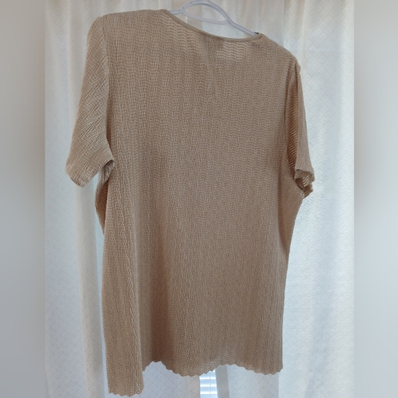 Tan Short Sleeve Crinkle Textured Stretch Blouse Short Sleeved 1X - Picture 6 of 7